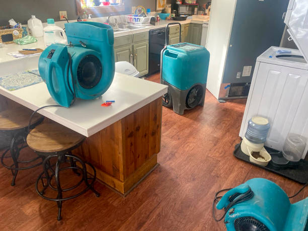 Best Carpet water damage restoration  in Heron Bay, GA
