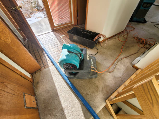 Best Water damage restoration near me  in Heron Bay, GA