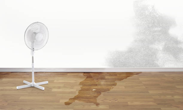 Best Flood restoration services  in Heron Bay, GA