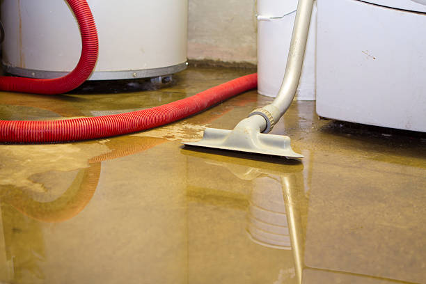 Best Water damage cleanup near me  in Heron Bay, GA