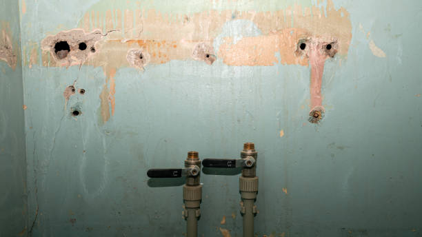 Best Ceiling water damage repair  in Heron Bay, GA