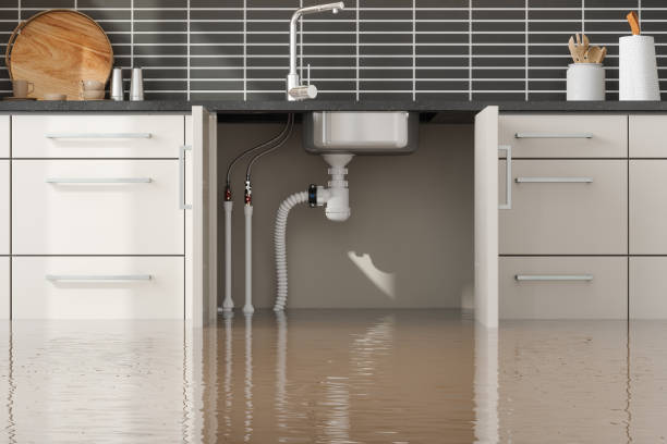 Best 24/7 water damage repair  in Heron Bay, GA