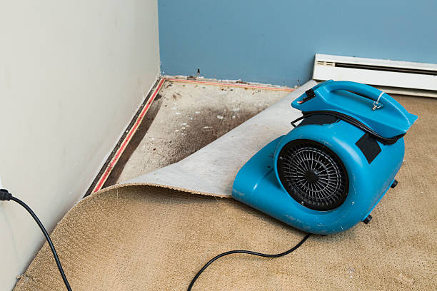 Water damage restoration insurance claims in Heron Bay, GA